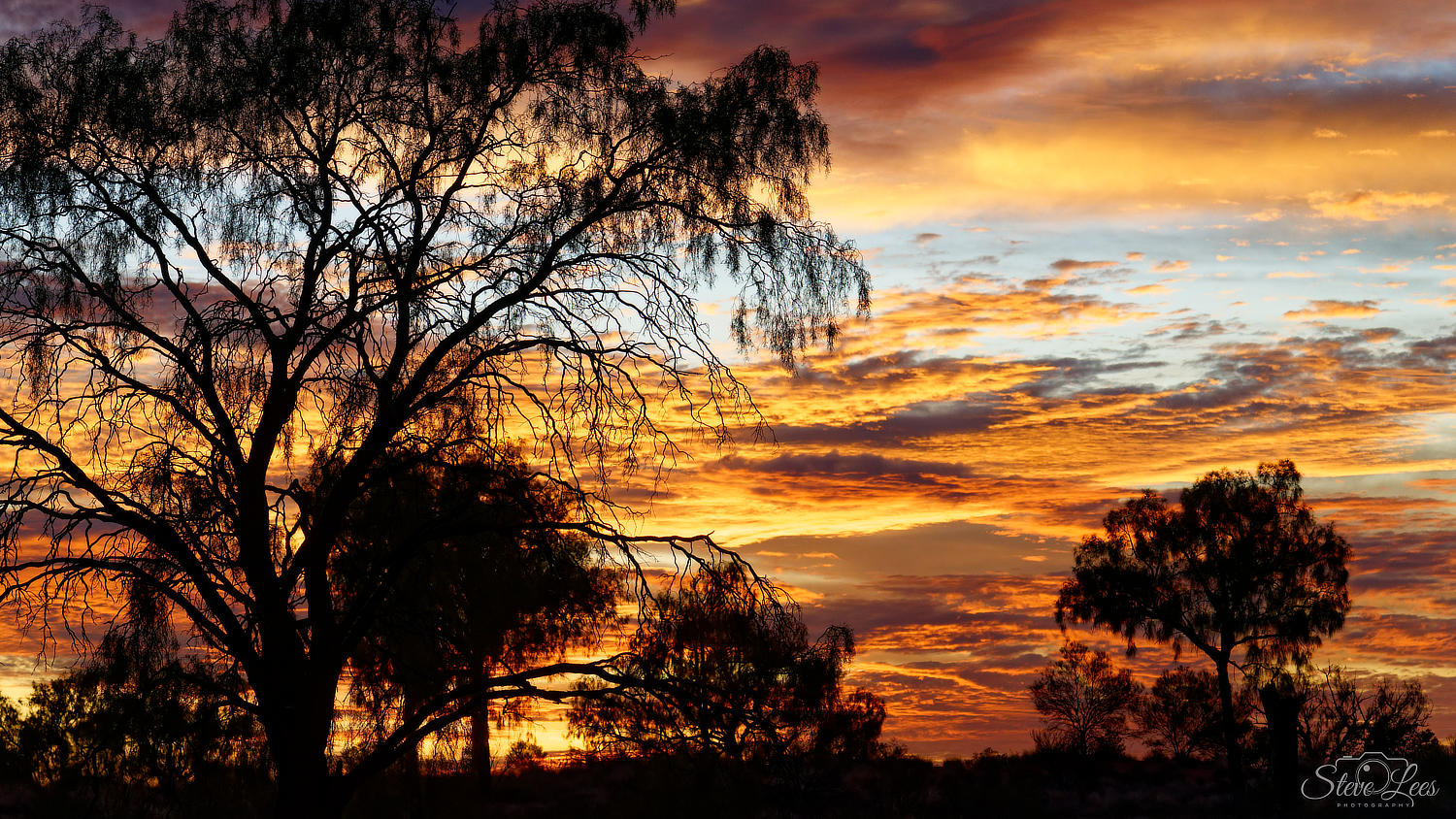 Desert Oaks Sunrise