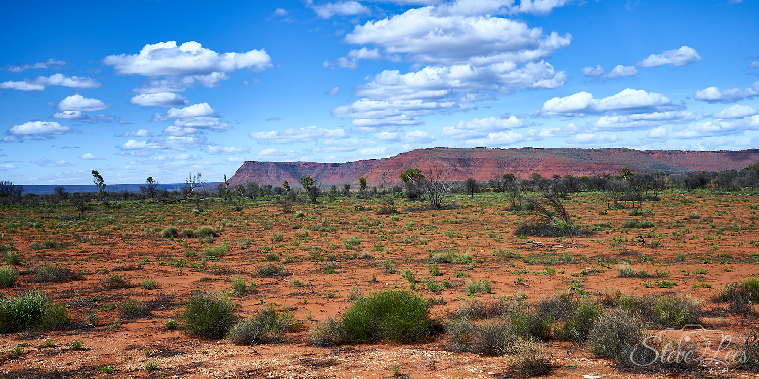 Kings Canyon From Afar