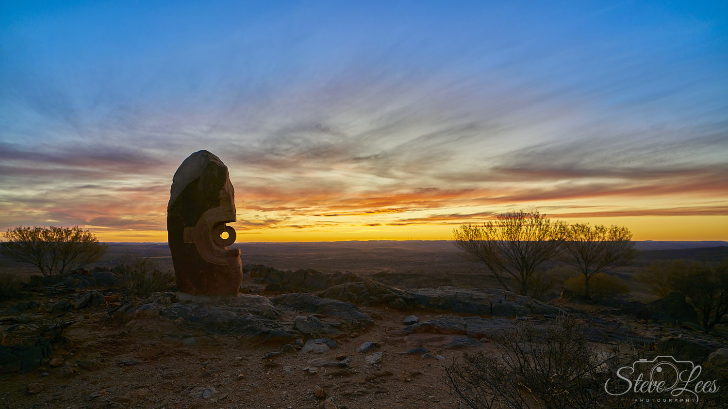 Living Desert and Sculptures Sunset