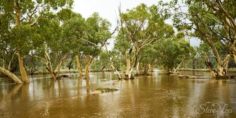 Northern Territory Flood