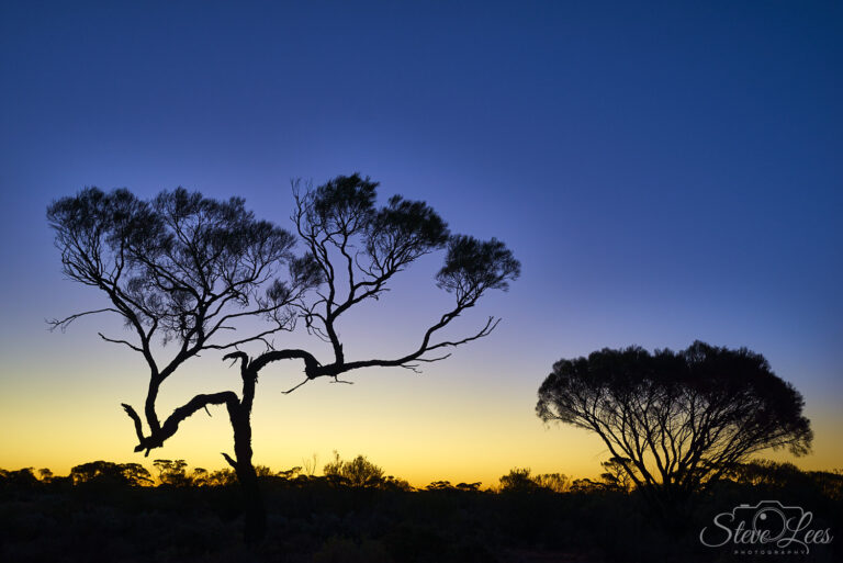 Colours Of The Outback