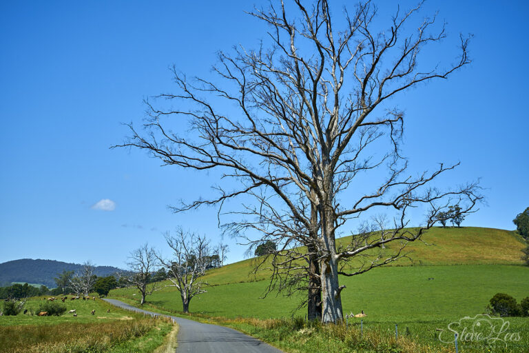 Tasmanian Countryside