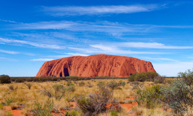 The Red Centre Road Trip