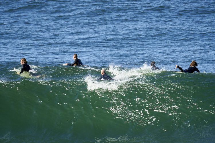 Sydney Surfers